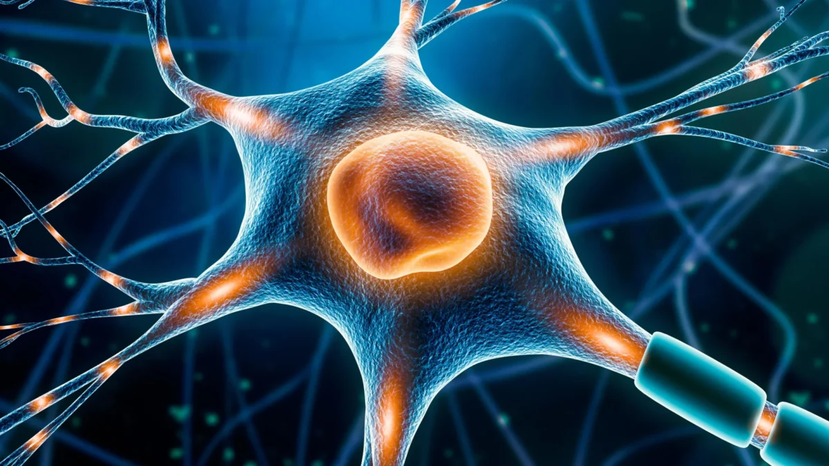 Interruptor de Energia Oculto Pode Transformar o Tratamento do Parkinson