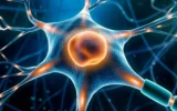 Interruptor de Energia Oculto Pode Transformar o Tratamento do Parkinson