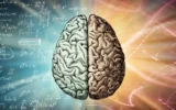 O autismo pode ser o preço da inteligência humana