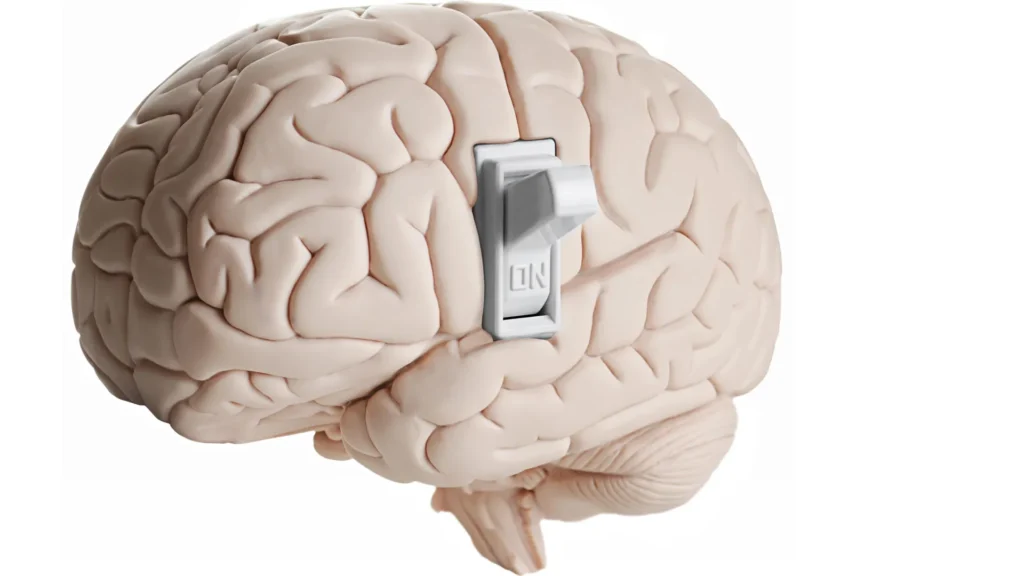 Cientistas descobrem proteína oculta que desativa a fome