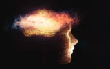 Gordura pode secretamente alimentar o Alzheimer, revela nova pesquisa.
