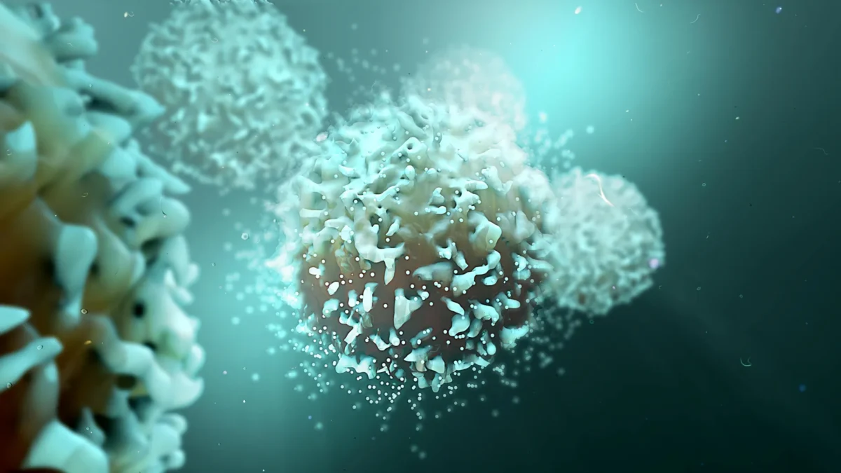 Uma proteína bloqueadora potencializa o sistema imunológico contra o câncer