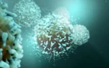 Uma proteína bloqueadora potencializa o sistema imunológico contra o câncer
