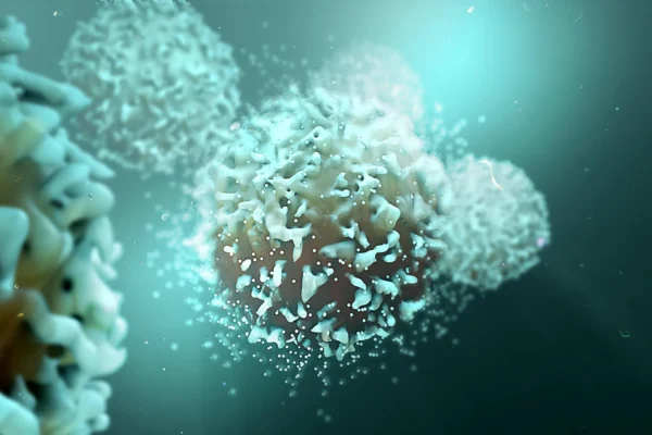 Uma proteína bloqueadora potencializa o sistema imunológico contra o câncer