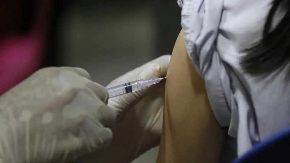 O Programa Nacional de Vacinação Salvou Milhares de Crianças no Primeiro Ano