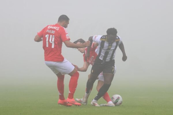 Previsões do IPMA para Nacional x Benfica na Choupana neste Sábado à Tarde