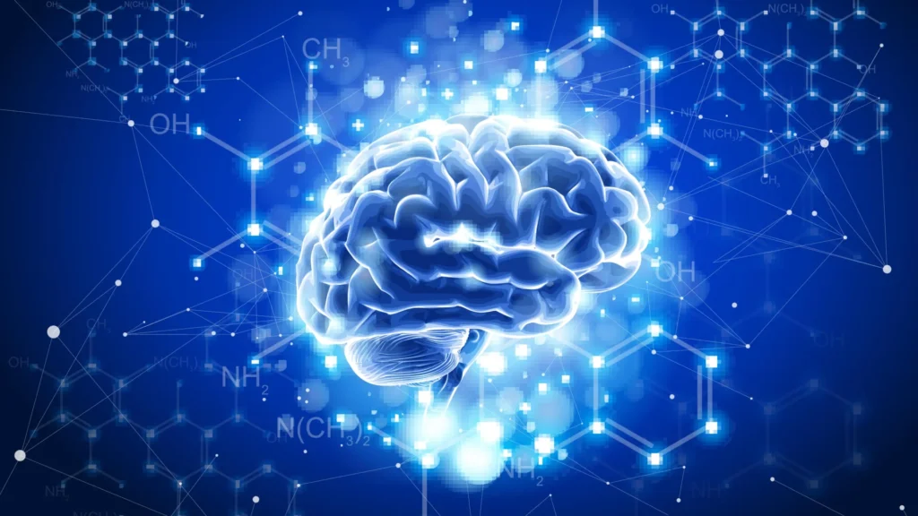 Cientistas de Stanford cultivam milhares de minecérebros humanos usando aditivo alimentar comum