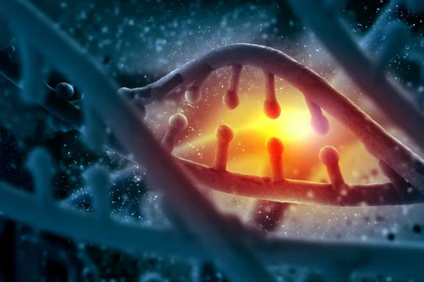 Cientistas descobrem uma falha genética oculta que rouba força lentamente