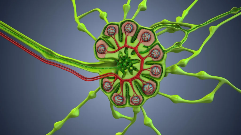 As cirurgias de câncer estão removendo a arma secreta do corpo contra o câncer?