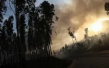 Detidos por incêndio sobem 61% em 2023, totalizando 58 casos