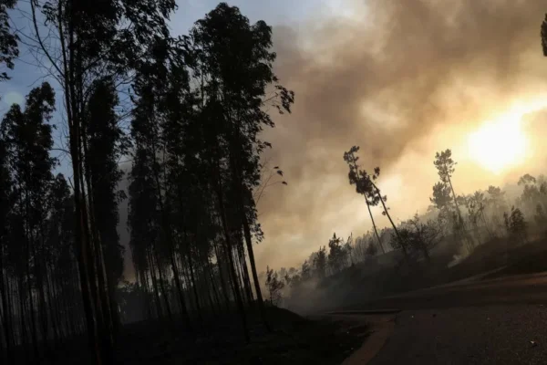 Detidos por incêndio sobem 61% em 2023, totalizando 58 casos