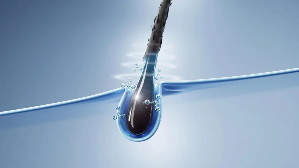 Cientistas descobrem como células do cabelo podem ajudar a curar a pele mais rapidamente