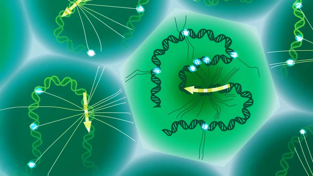 Cientistas decifram o código oculto do DNA que molda as doenças
