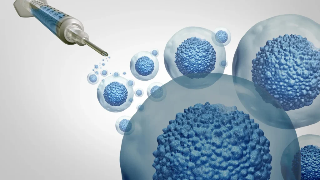 Stanford torna transplantes de células-tronco mais seguros sem quimioterapia