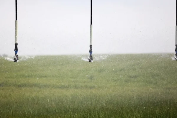 Zero reclama de Portugal na Europa por violação da lei da água
