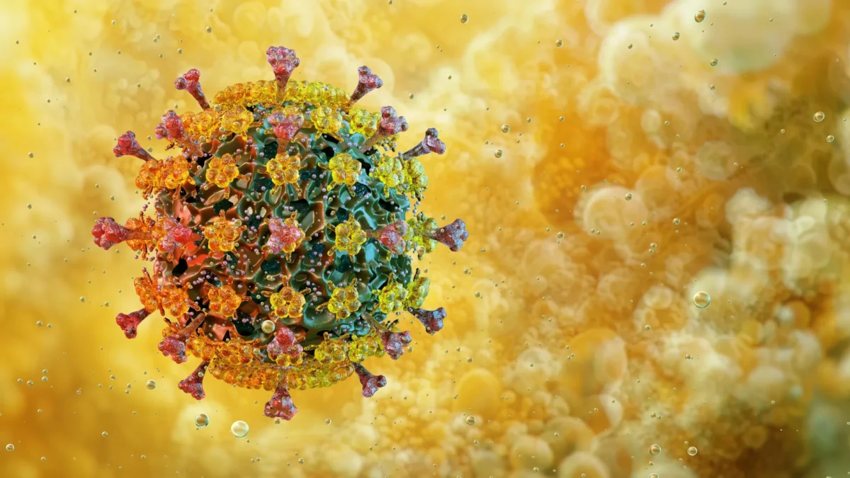 A surpreendente tolerância ao calor da gripe aviária preocupa os cientistas