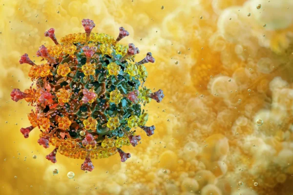 A surpreendente tolerância ao calor da gripe aviária preocupa os cientistas