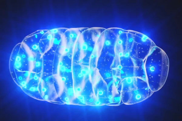 Cientistas revelam um sistema de alarme oculto dentro de suas células