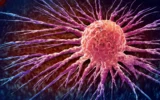 Cientistas descobrem interruptor oculto que ajuda células cancerígenas a sobreviver