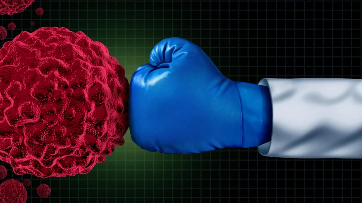 Imported Article – 2025-12-24 19:30:10