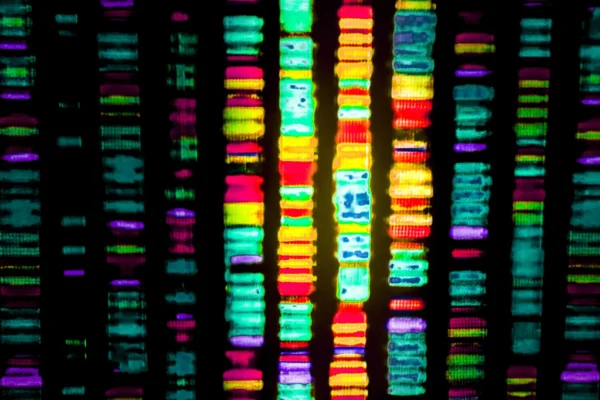 O Mistério dos 98%: Cientistas Desvendaram o Código do "DNA Lixo" Relacionado ao Alzheimer