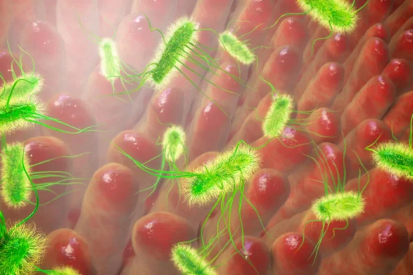 Cientistas surpresos ao descobrir que E. coli se espalha tão rápido quanto a gripe suína