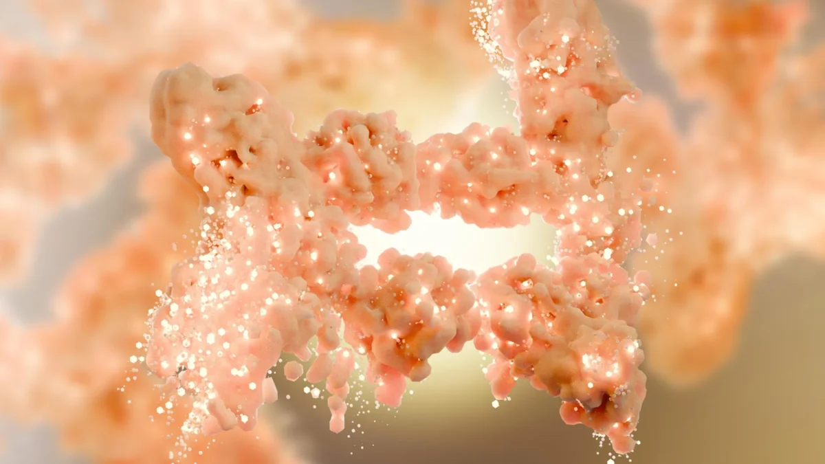 Nova descoberta sobre a obesidade reformula décadas de ciência do metabolismo da gordura