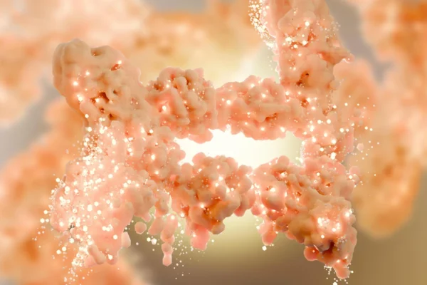 Nova descoberta sobre a obesidade reformula décadas de ciência do metabolismo da gordura