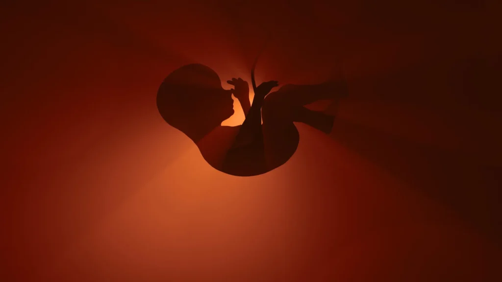 Um "medicamento essencial" popular pode estar colocando bebês não nascidos em risco