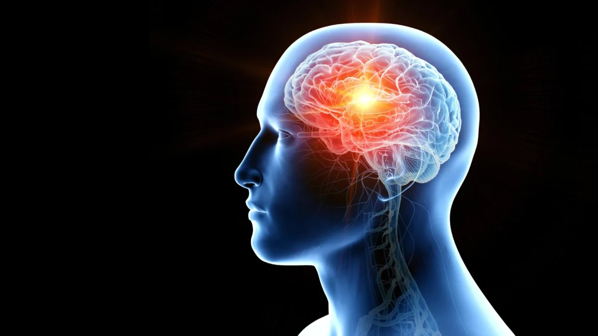 Novas gotículas nasais eliminam tumores cerebrais em camundongos