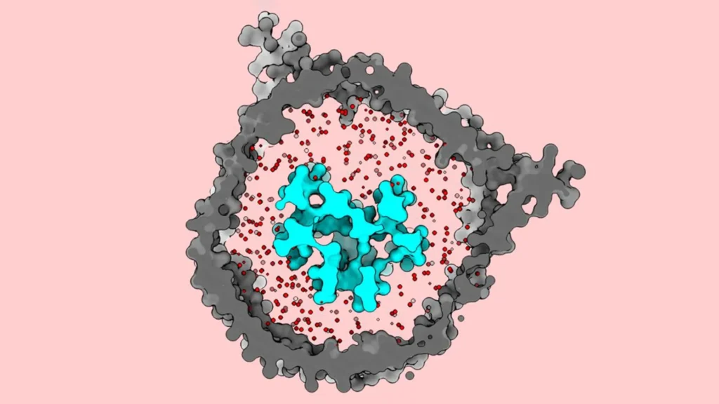 Imported Article – 2025-12-29 20:27:56