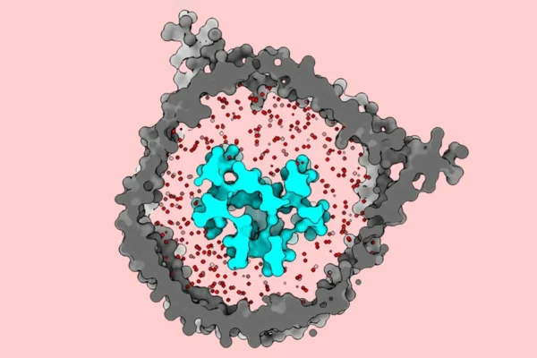 Imported Article – 2025-12-29 20:27:56