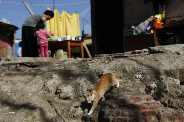 Risco de Pobreza Afeta Quase Todas as Crianças Ciganas em Portugal