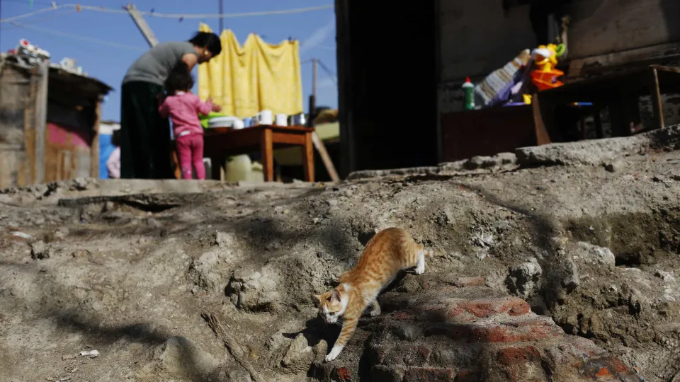 Risco de Pobreza Afeta Quase Todas as Crianças Ciganas em Portugal