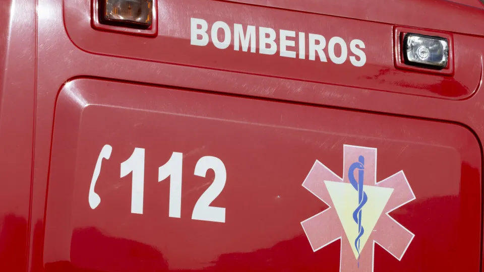 Desaparecimento de Mulher de 76 Anos em Mogadouro