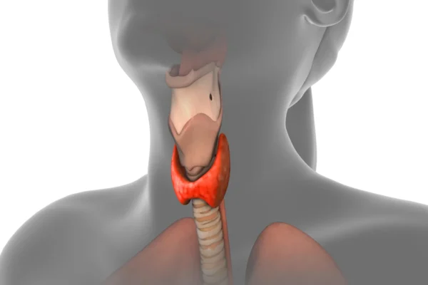Verificação simples da tireoide durante a gravidez pode reduzir o risco de autismo