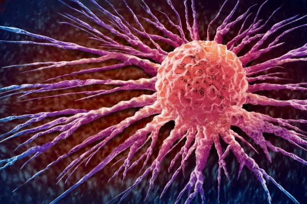 Imported Article – 2026-01-21 21:58:41