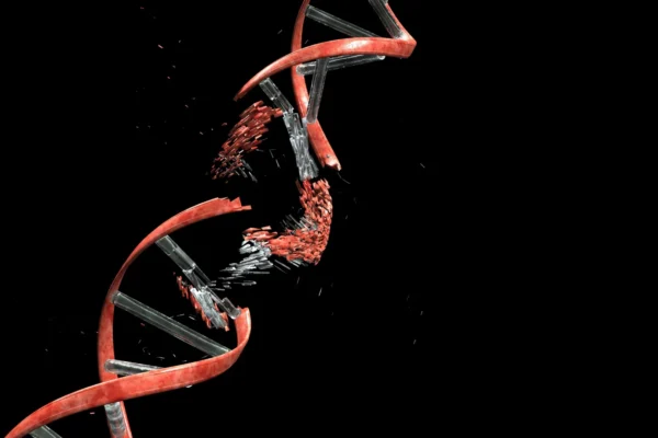 A Regra do 4x: Por que o DNA de algumas pessoas é mais instável que o de outras