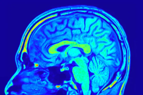 Imported Article – 2026-01-26 22:21:29