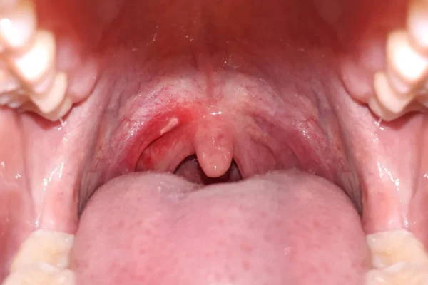 Imported Article – 2026-01-30 22:39:06