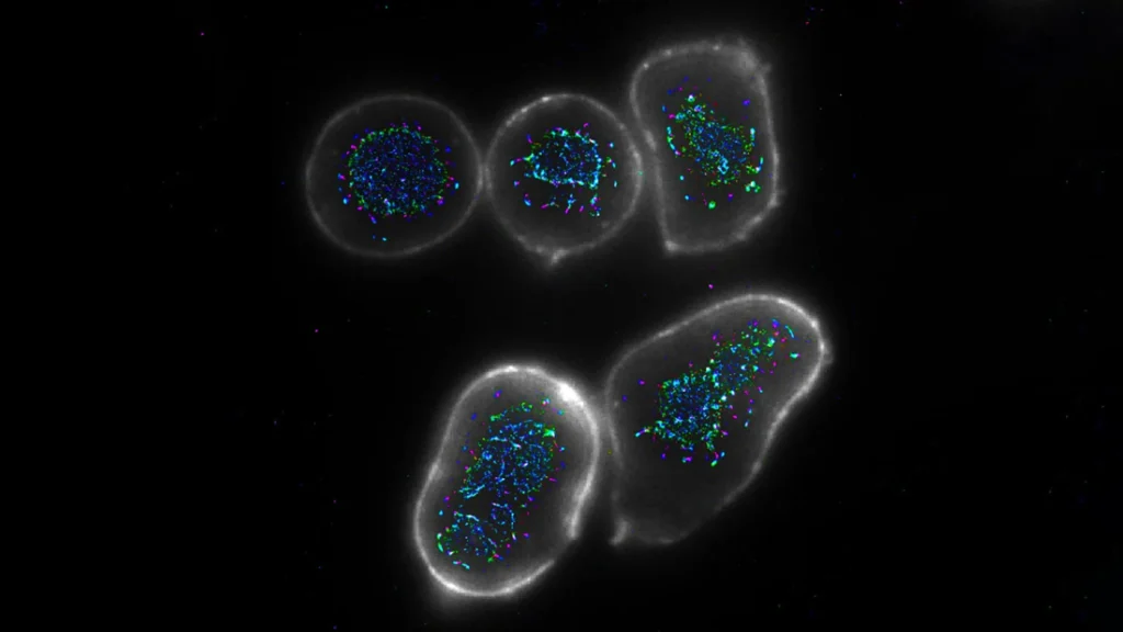 Imported Article – 2026-01-17 21:41:08