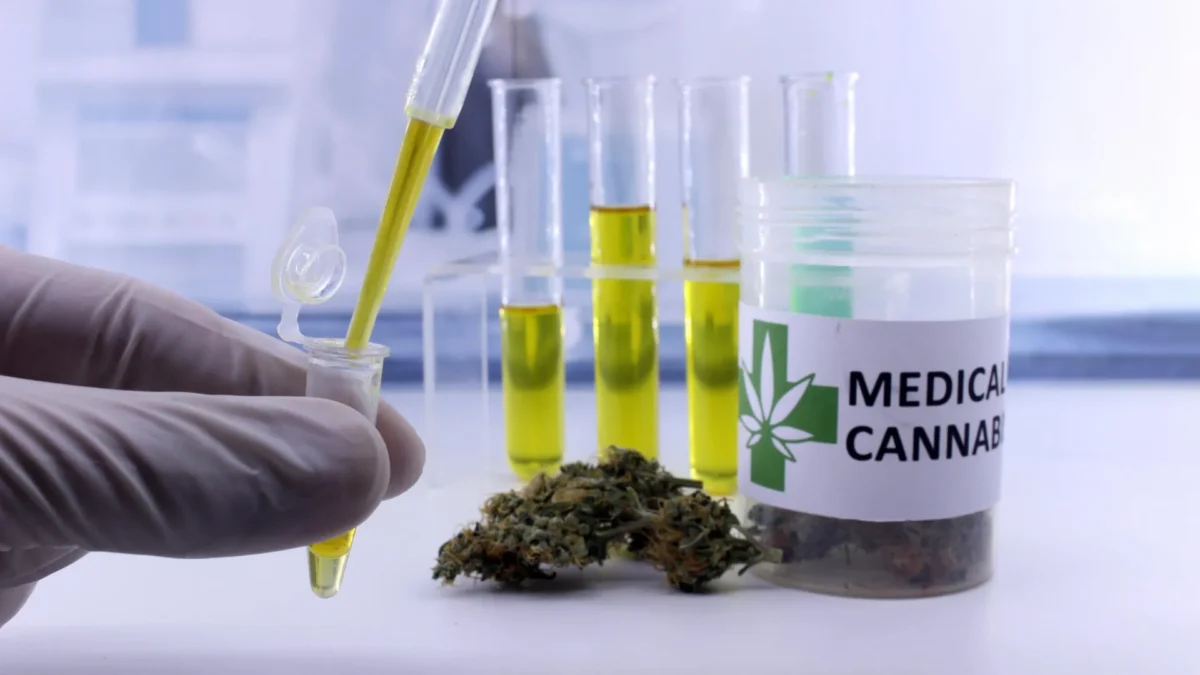 Cientistas revelam os verdadeiros benefícios e os riscos ocultos da cannabis medicinal