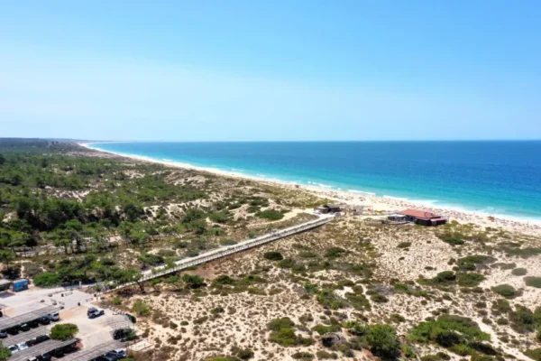 Imported Article – 2026-01-23 22:31:46