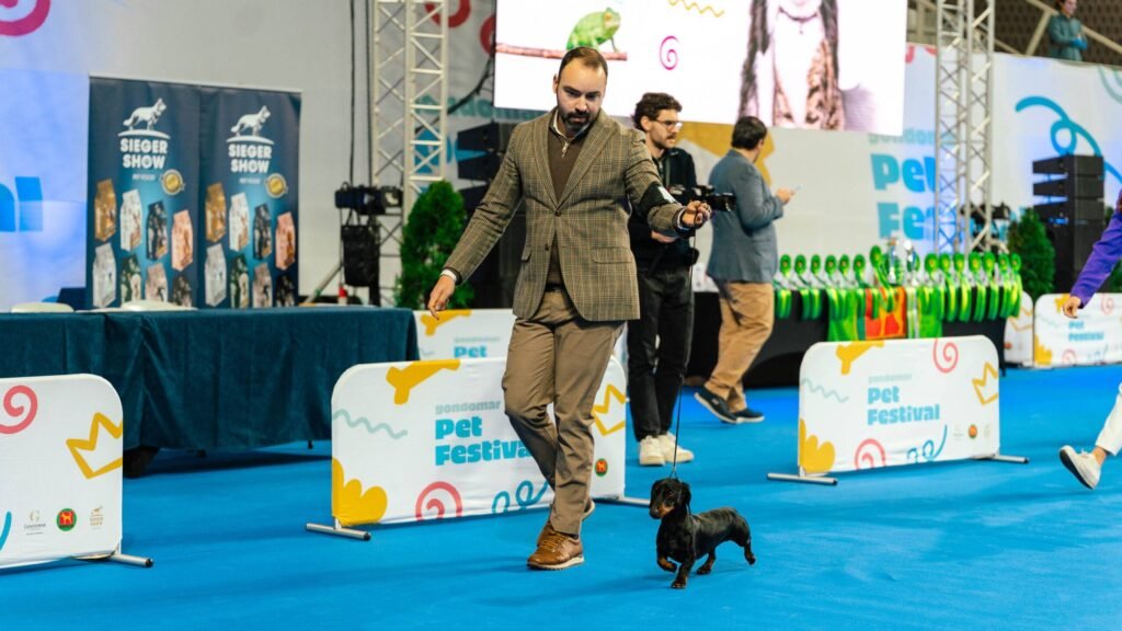 Festival de Pet da Gondomar já está acontecendo no Multiusos