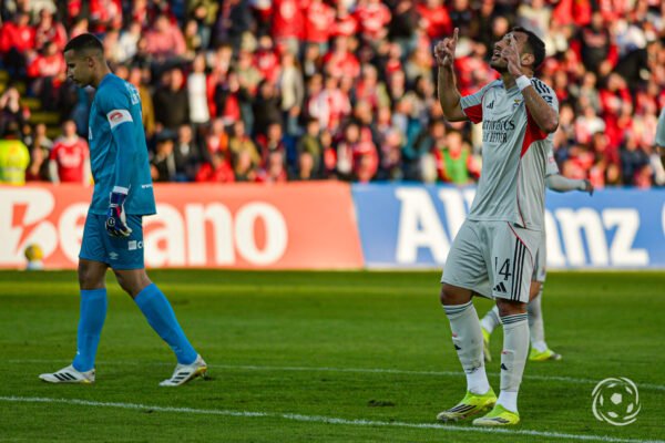 Imported Article – 2026-02-13 22:53:42