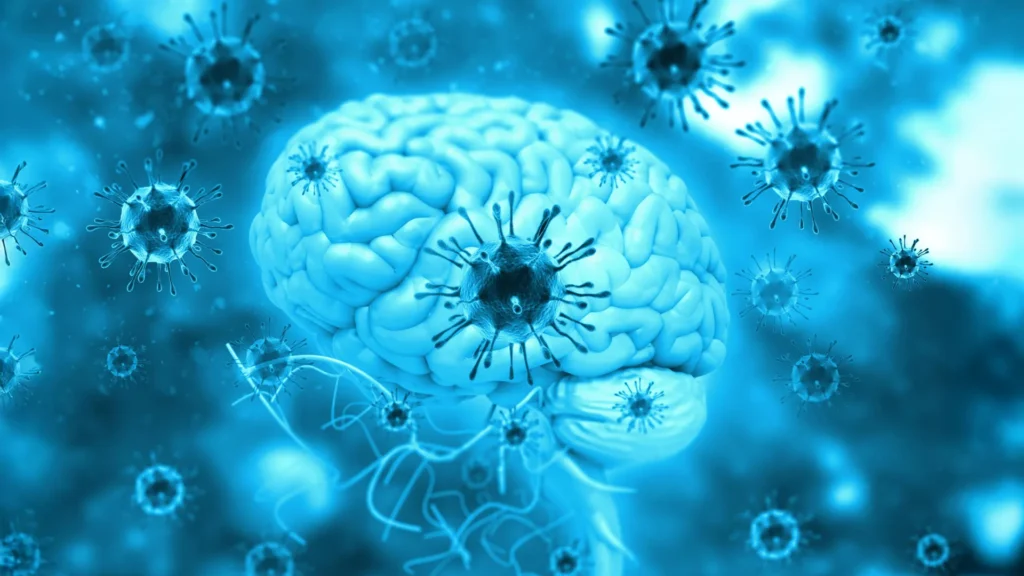 Um parasita comum no cérebro é muito mais ativo do que pensávamos.