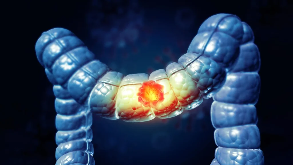 Imported Article – 2026-02-16 07:40:10