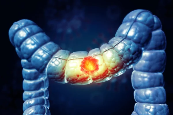 Imported Article – 2026-02-16 07:40:10