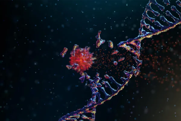 Imported Article – 2026-02-14 15:35:11