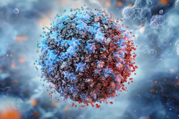 Um ciclo imunológico oculto pode impulsionar inflamações perigosas com a idade